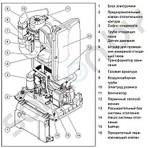 Конденсационный газовый котёл Protherm Гепард Condens 25 MKO, фото 3