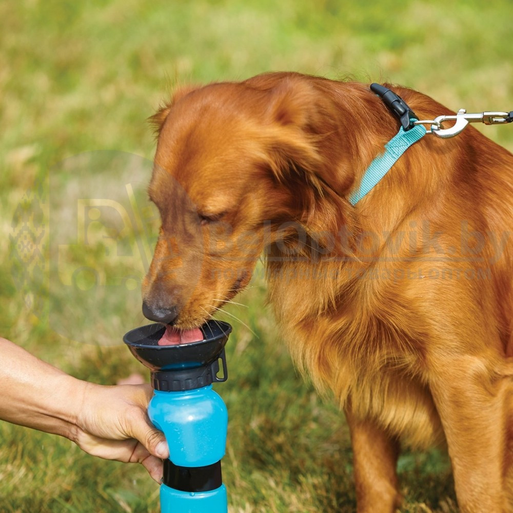 Поилка для собак Aqua Dog (Аква Дог), 550 мл Розовый - фото 8 - id-p131003563