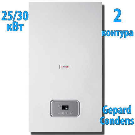 Конденсационный газовый котёл Protherm Гепард Condens 25/30 MKV, фото 2