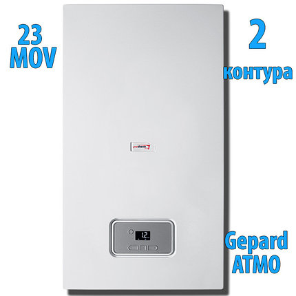 Газовый котёл Protherm 23 МOV Гепард атмо, фото 2