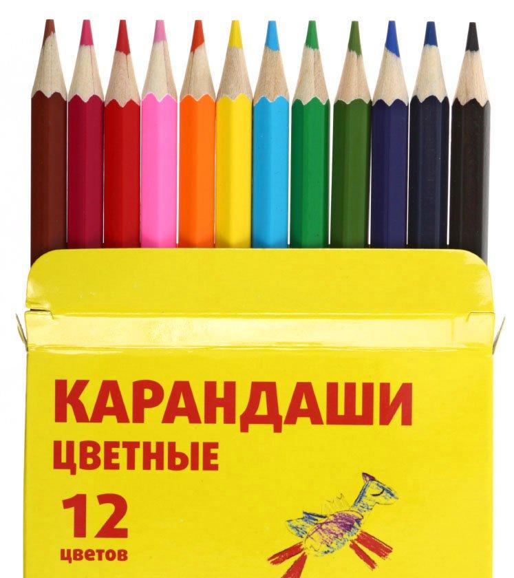 Карандаши цветные «Каляка-Маляка» 12 цветов, длина 175 мм, ассорти - фото 1 - id-p131169897