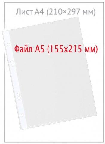 Файл А5 перфорированный inФормат 30 мкм, гладкий, глянцевый, 155*215 мм (до 50 л.) - фото 1 - id-p131172529