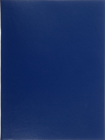 Тетрадь общая А4, 96 л. на скобе Lite 200*270 мм, клетка, синяя - фото 2 - id-p131174952