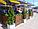 Цветочница садовая из массива сосны "Лион", фото 3