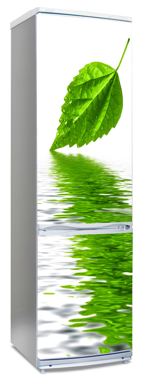 Виниловая наклейка на холодильник с листом зеленым в воде