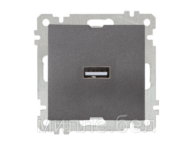 Розетка 1-ая USB (скрытая, без рамки) дымчатая, DARIA, MUTLUSAN (USB-зарядка, 5V-2.1A) - фото 1 - id-p131420427