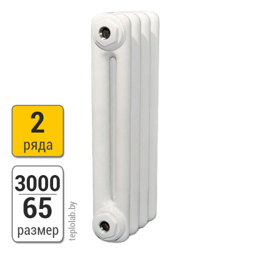 Радиатор трубчатый Arbonia 2300 2-3000 (межосевое - 2930 мм)