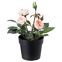 IKEA/ ФЕЙКА Искусственное растение в горшке, д/дома/улицы, Роза розовый9 см
