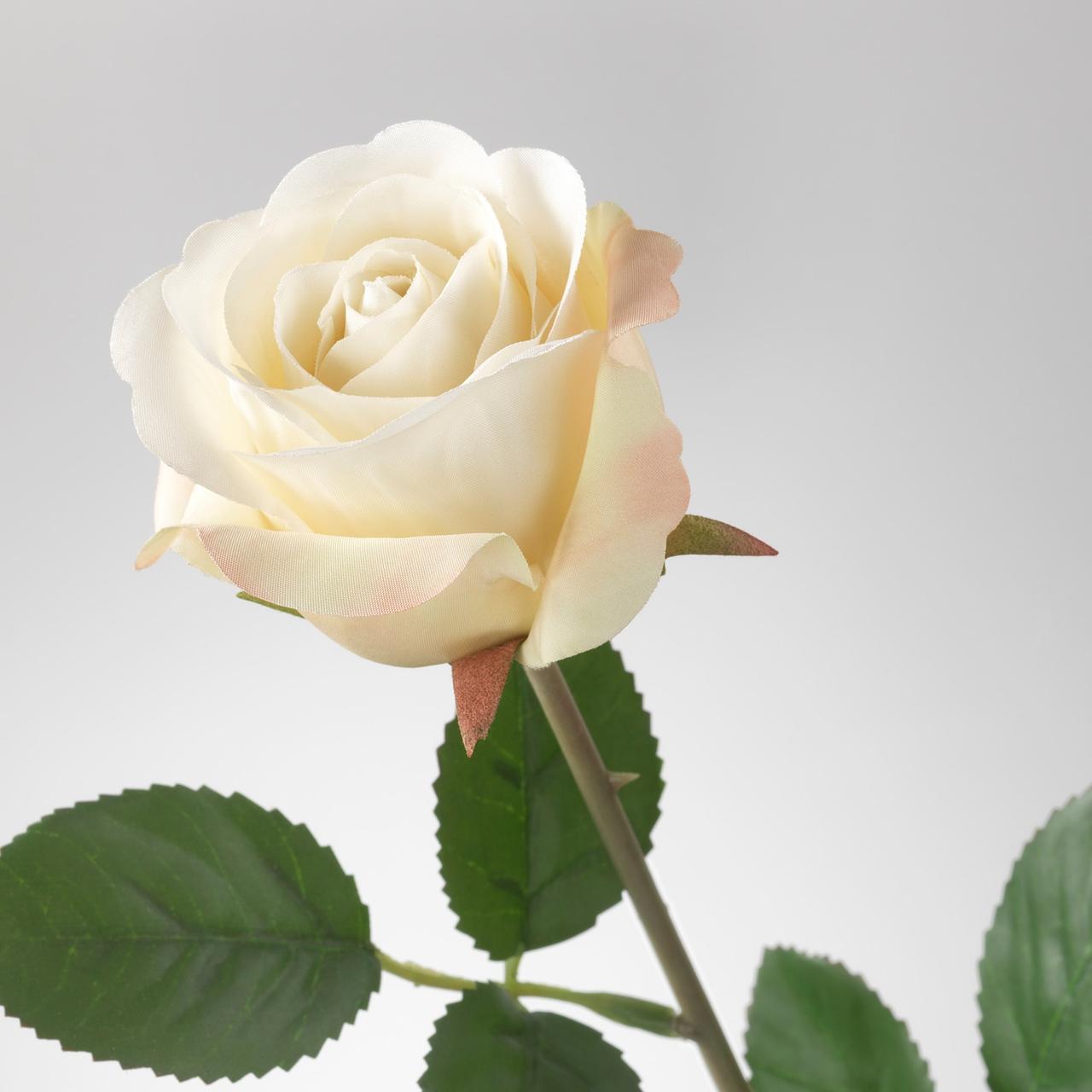 IKEA/ СМИККА Цветок искусственный, Роза, белый52 см - фото 3 - id-p131532819