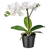 ФЕЙКА орхидея Искусственное растение в горшке, Орхидея белый9 см