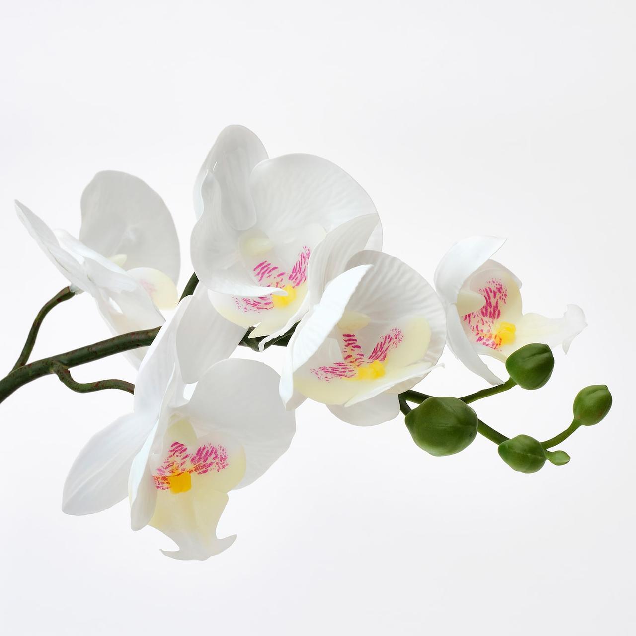 IKEA/ ФЕЙКА орхидея Искусственное растение в горшке, Орхидея белый9 см - фото 3 - id-p131538712