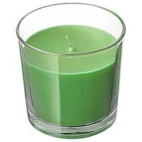СИНЛИГ Ароматическая свеча в стакане, Яблоко и груша, зеленый7.5 см