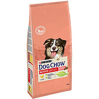 Dog Chow 1 кг (развес), для взрослых активных собак, курица