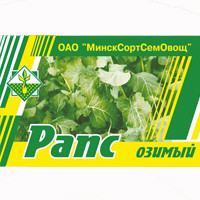 Семена Рапс озимый сидерат, медонос (упаковка 0,5 кг)