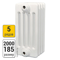 Радиатор трубчатый Arbonia 5200 5-2000 (межосевое - 1930 мм)