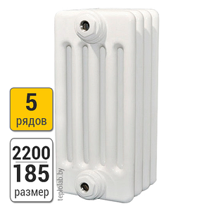 Радиатор трубчатый Arbonia 5220 5-2200 (межосевое - 2130 мм)