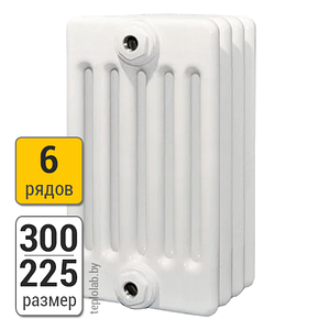 Радиатор трубчатый Arbonia 6030 6-300 (межосевое - 230 мм)
