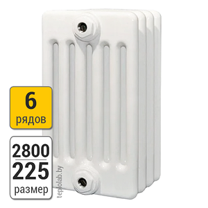 Радиатор трубчатый Arbonia 6280 6-2800 (межосевое - 2730 мм)