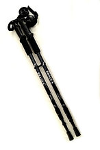 Палки телескопические для скандинавской (спортивной) ходьбы Нордик Стайл (арт. 9-5621)