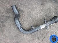 Патрубок (трубопровод, шланг) Volkswagen TOUAREG (2002-2010) 2.5 TDi BPE - 174 Лс 2004 г.