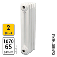 Радиатор трубчатый Arbonia Cambiotherm 2107 2-1070 (межосевое - 1000 мм)