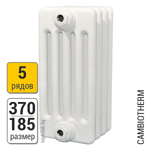 Радиатор трубчатый Arbonia Cambiotherm 5037 5-370 (межосевое - 300 мм)