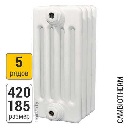 Радиатор трубчатый Arbonia Cambiotherm 5042 5-420 (межосевое - 350 мм), фото 2