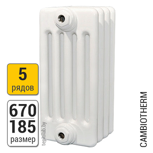 Радиатор трубчатый Arbonia Cambiotherm 5067 5-670 (межосевое - 600 мм)