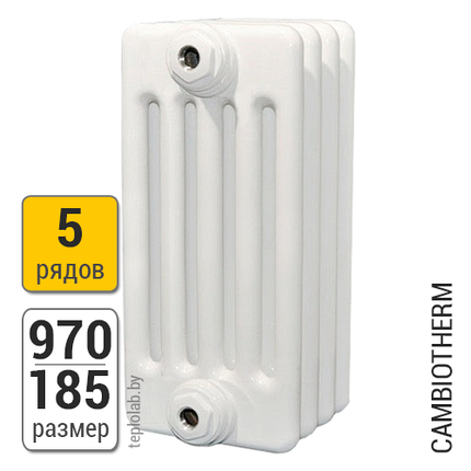 Радиатор трубчатый Arbonia Cambiotherm 5097 5-970 (межосевое - 900 мм), фото 2