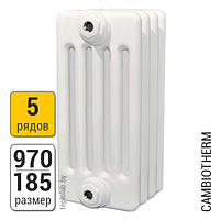 Радиатор трубчатый Arbonia Cambiotherm 5097 5-970 (межосевое - 900 мм)