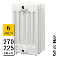 Радиатор трубчатый Arbonia Cambiotherm 6027 6-270 (межосевое - 200 мм)