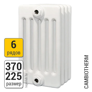 Радиатор трубчатый Arbonia Cambiotherm 6037 6-370 (межосевое - 300 мм)