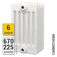 Радиатор трубчатый Arbonia Cambiotherm 6067 6-670 (межосевое - 600 мм)