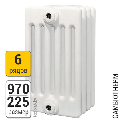 Радиатор трубчатый Arbonia Cambiotherm 6097 6-970 (межосевое - 900 мм), фото 2