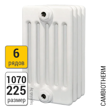 Радиатор трубчатый Arbonia Cambiotherm 6107 6-1070 (межосевое - 1000 мм), фото 2