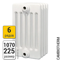 Радиатор трубчатый Arbonia Cambiotherm 6107 6-1070 (межосевое - 1000 мм)