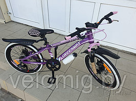 Велосипед Greenway Zero (2020)фиолетовый