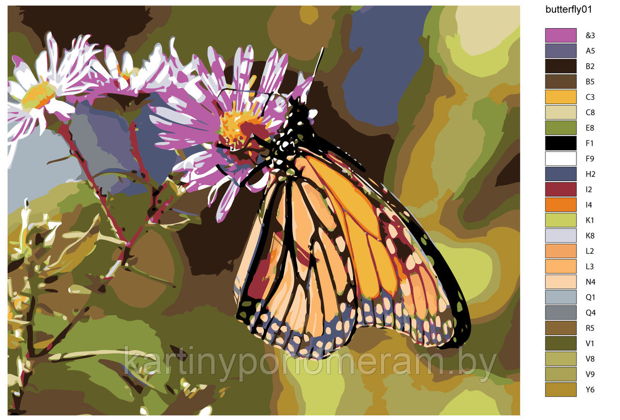 Картина по номерам, 40 x 50, KTMK-butterfly01 - фото 1 - id-p131803038