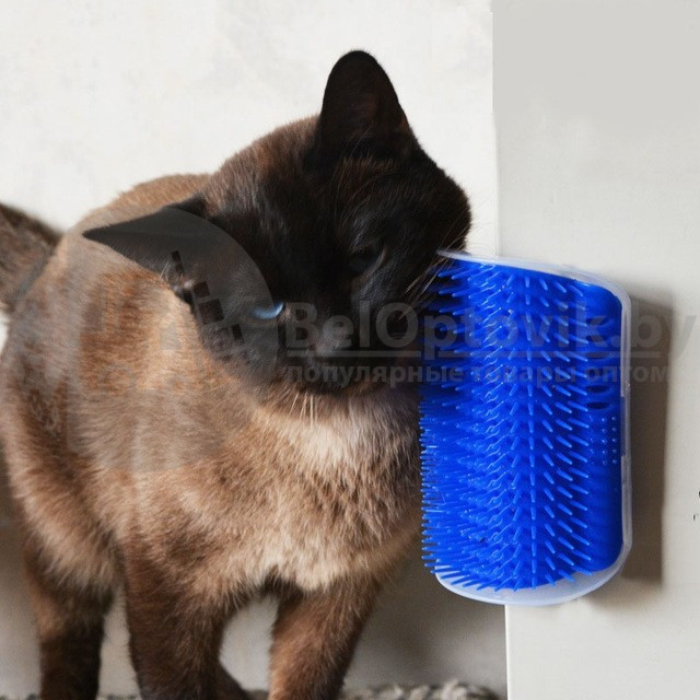 Catit Self Groomer Игрушка-массажер для котят и кошек - фото 2 - id-p132031118