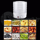 Сушилка для овощей и фруктов Digital Food Dehydrator SMX-01, фото 2