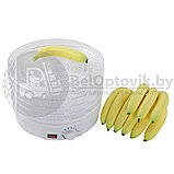 Сушилка для овощей и фруктов Digital Food Dehydrator SMX-01, фото 5