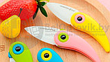Складной нож Попугай Oujiada с керамическим покрытием, цвета MIX, фото 4