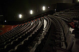 Кресло для кино и конференцзала Люксор, фото 2