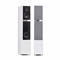 Напольная акустика MartinLogan Motion 20i