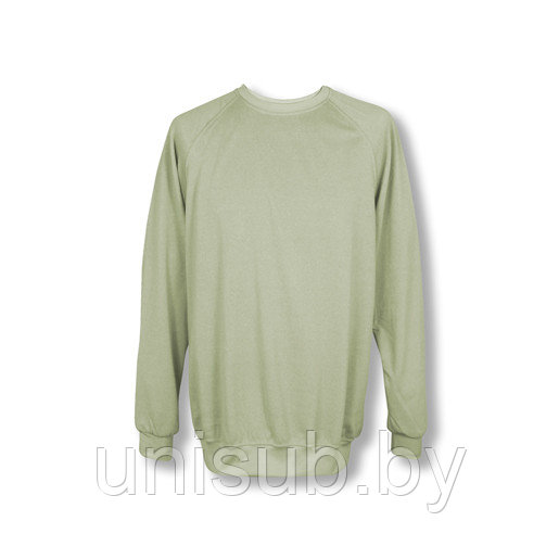 Свитшот оливковый 50 (XL) флис, полиэстер 150 г/м.кв., - фото 1 - id-p132148703