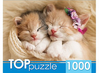 TOPpuzzle. ПАЗЛЫ 1000 элементов. Два спящих котенка