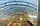 Теплица из поликарбоната ГАРАНТ-Гост (двойная дуга), фото 5