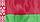 Флаг Республики Беларусь 50х100см, фото 2