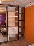 Шкаф-купе с фасадом из ДСП Зебрано африканское, фото 5