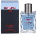 Туалетная вода Iceberg BURNING ICE Men 100ml edt ТЕСТЕР